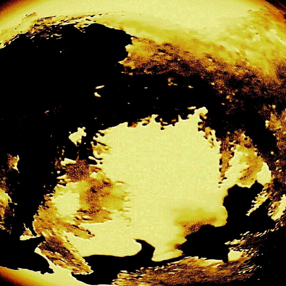 Picture of Human