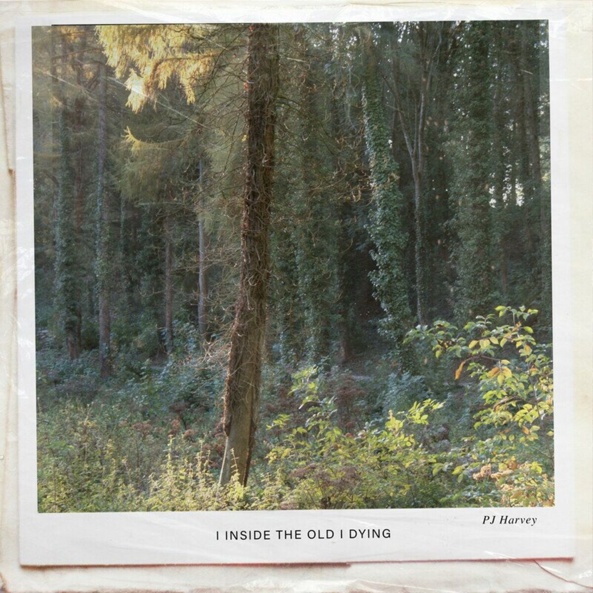 Album cover of I Inside the Old I Dying