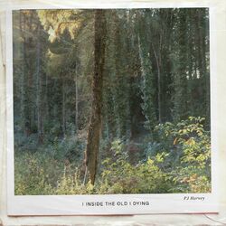 Cover of I Inside the Old I Dying