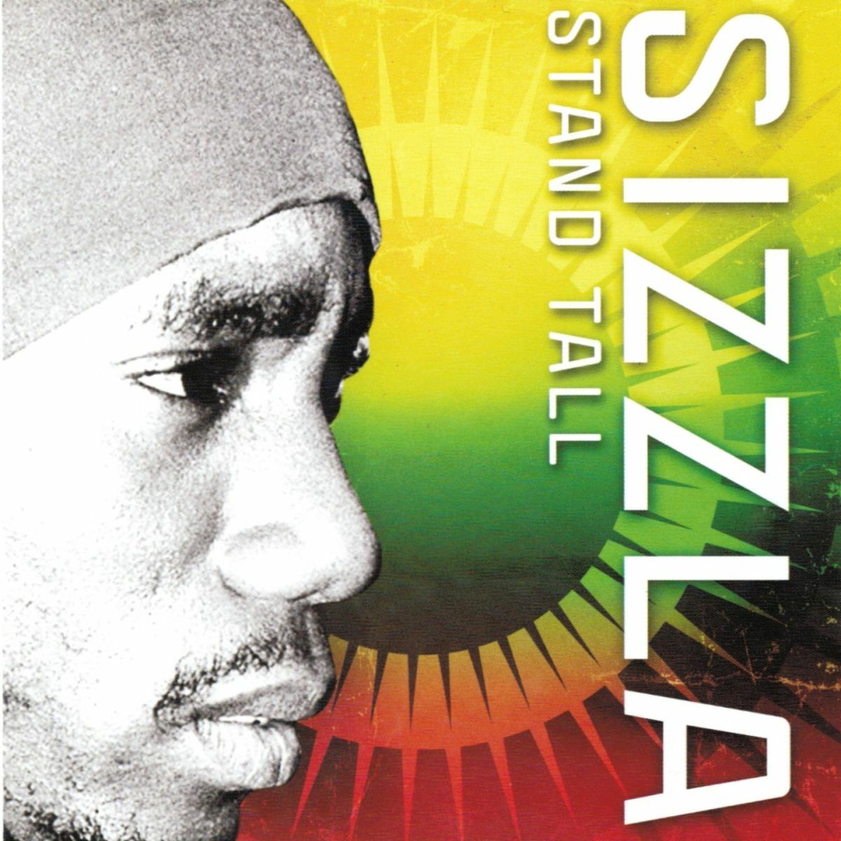 Album cover of Stand Tall