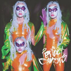 Cover of Perfect Saviors