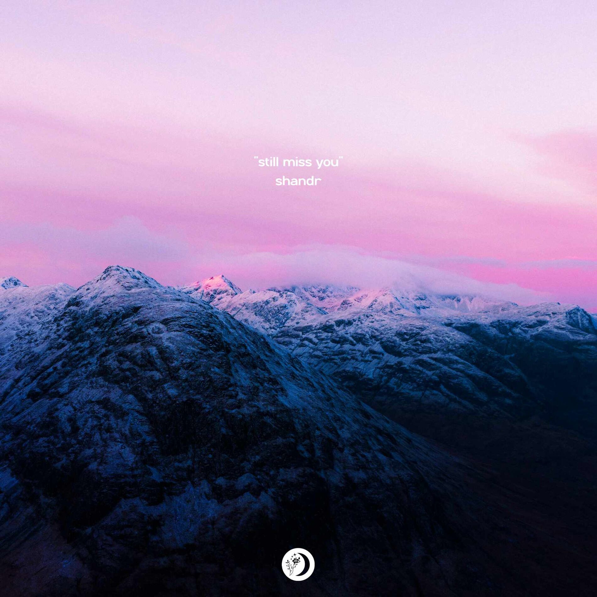 Album cover of Still Miss You