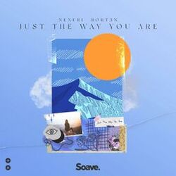 Cover of Just The Way You Are