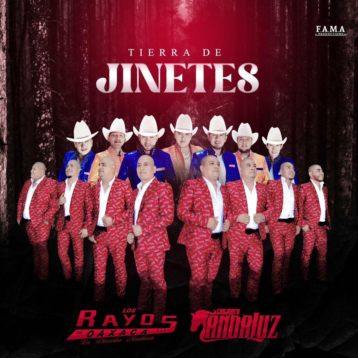 Album cover of Tierra de Jinetes