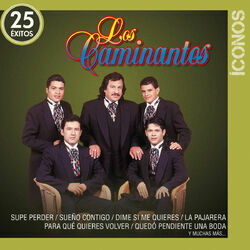 Cover of Íconos 25 Éxitos