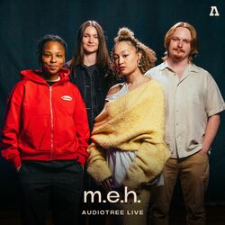 Cover of m.e.h. on Audiotree Live