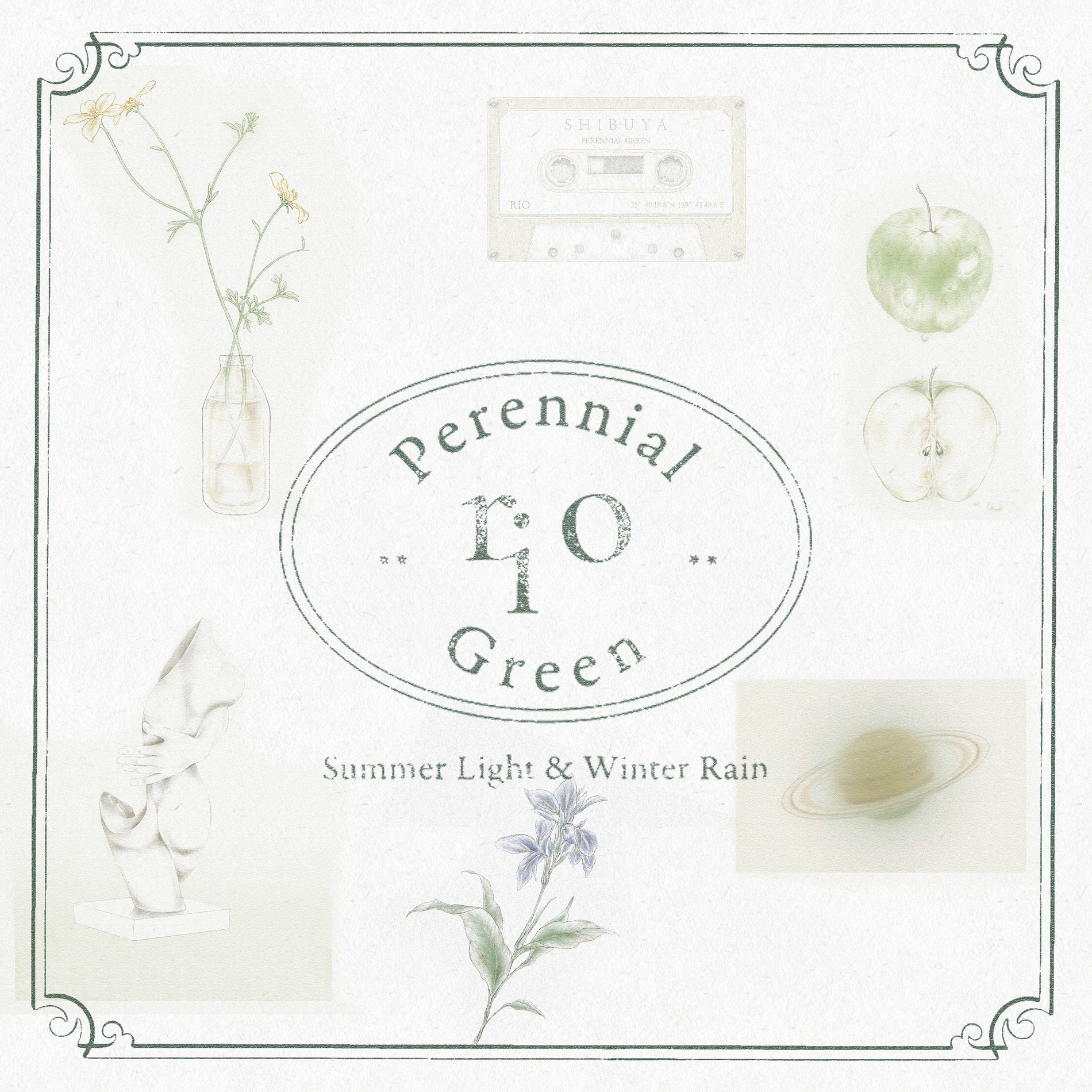 Album cover of Perennial Green
