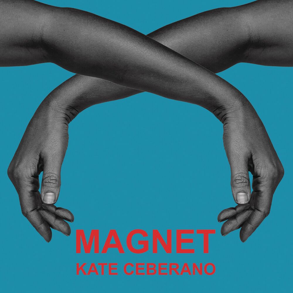 Picture of Magnet