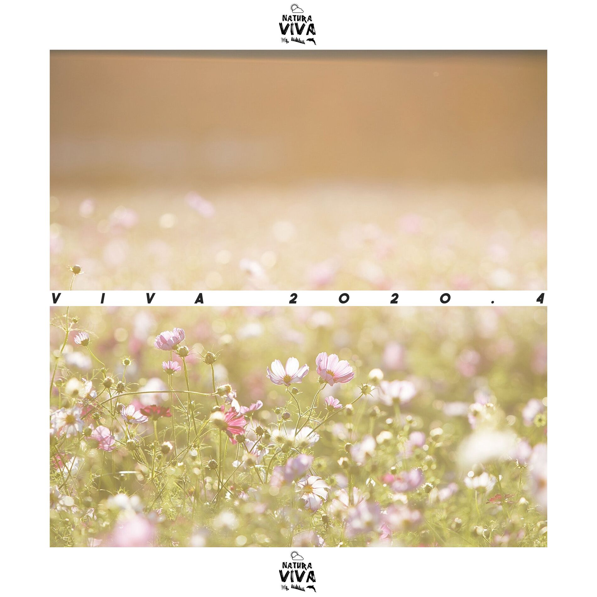 Album cover of Viva 2020.4
