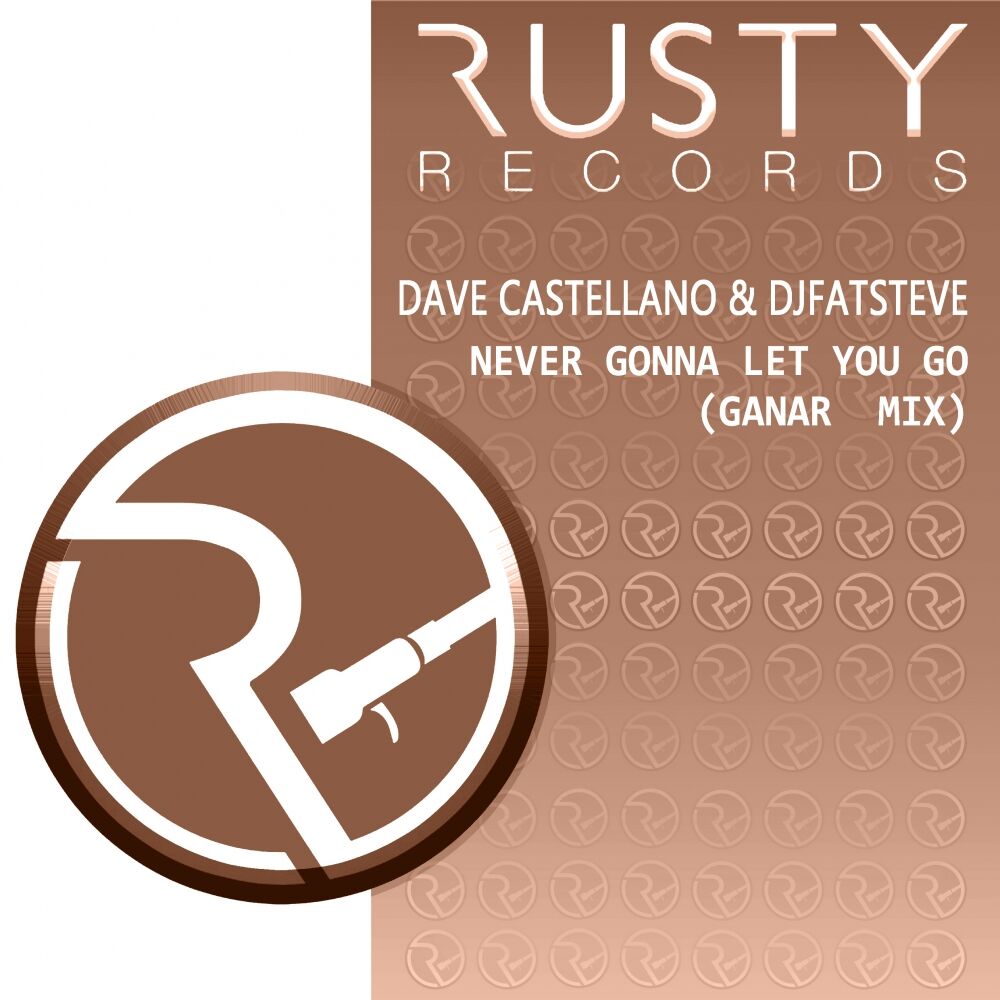 Picture of Never Gonna Let You Go (Ganar Remix)