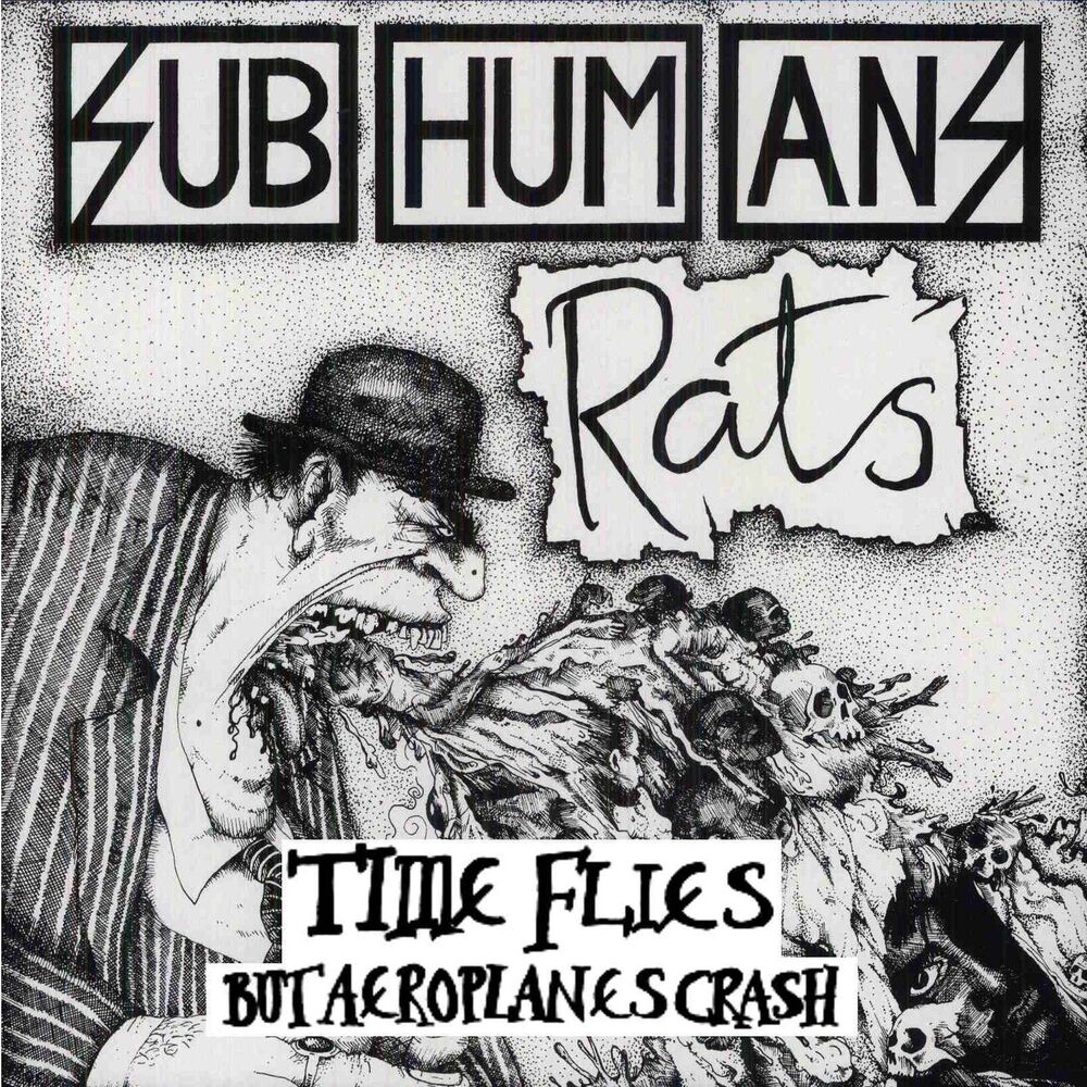 Picture of Time Flies but Aeroplanes Crash + Rats