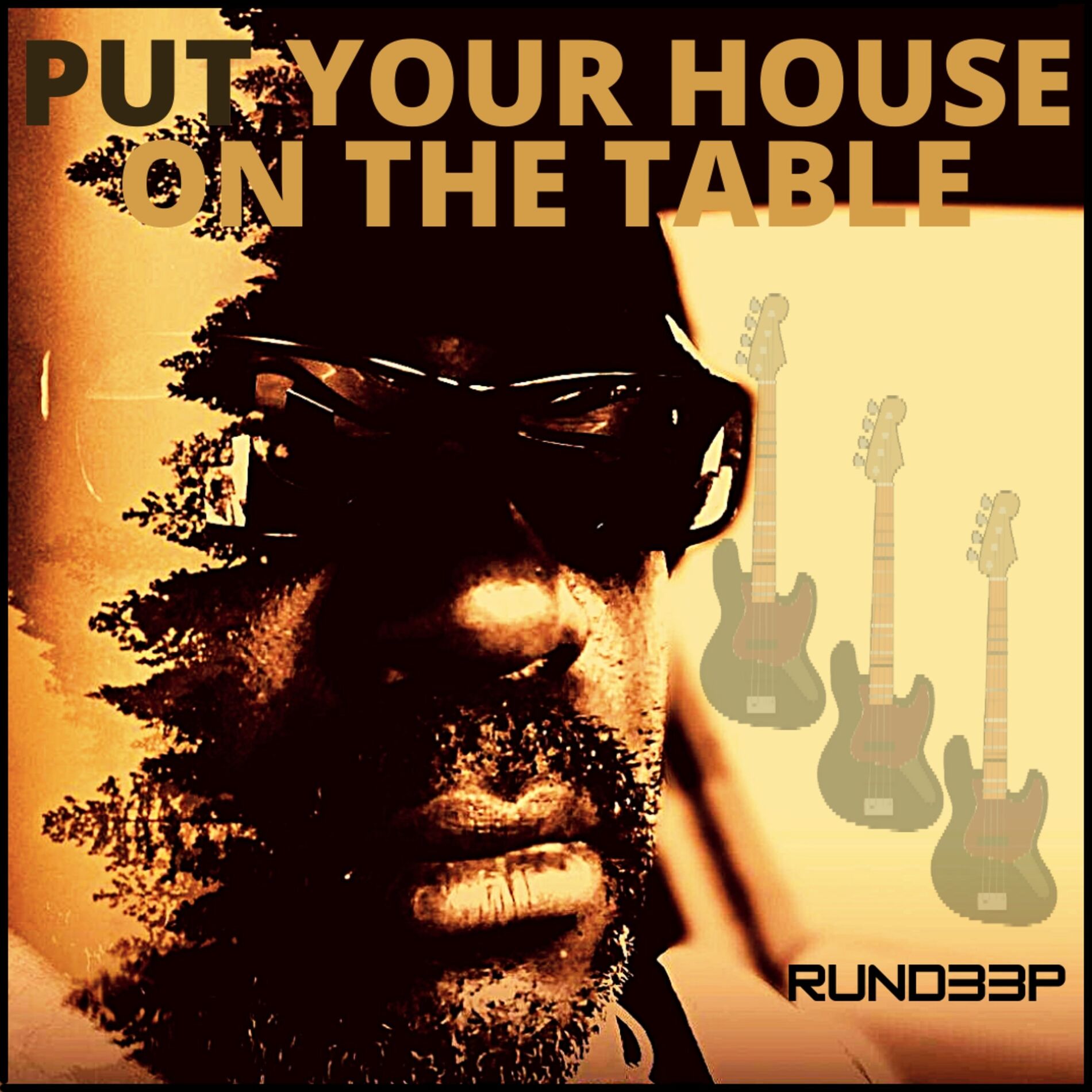 Album cover of Put Your House on the Table