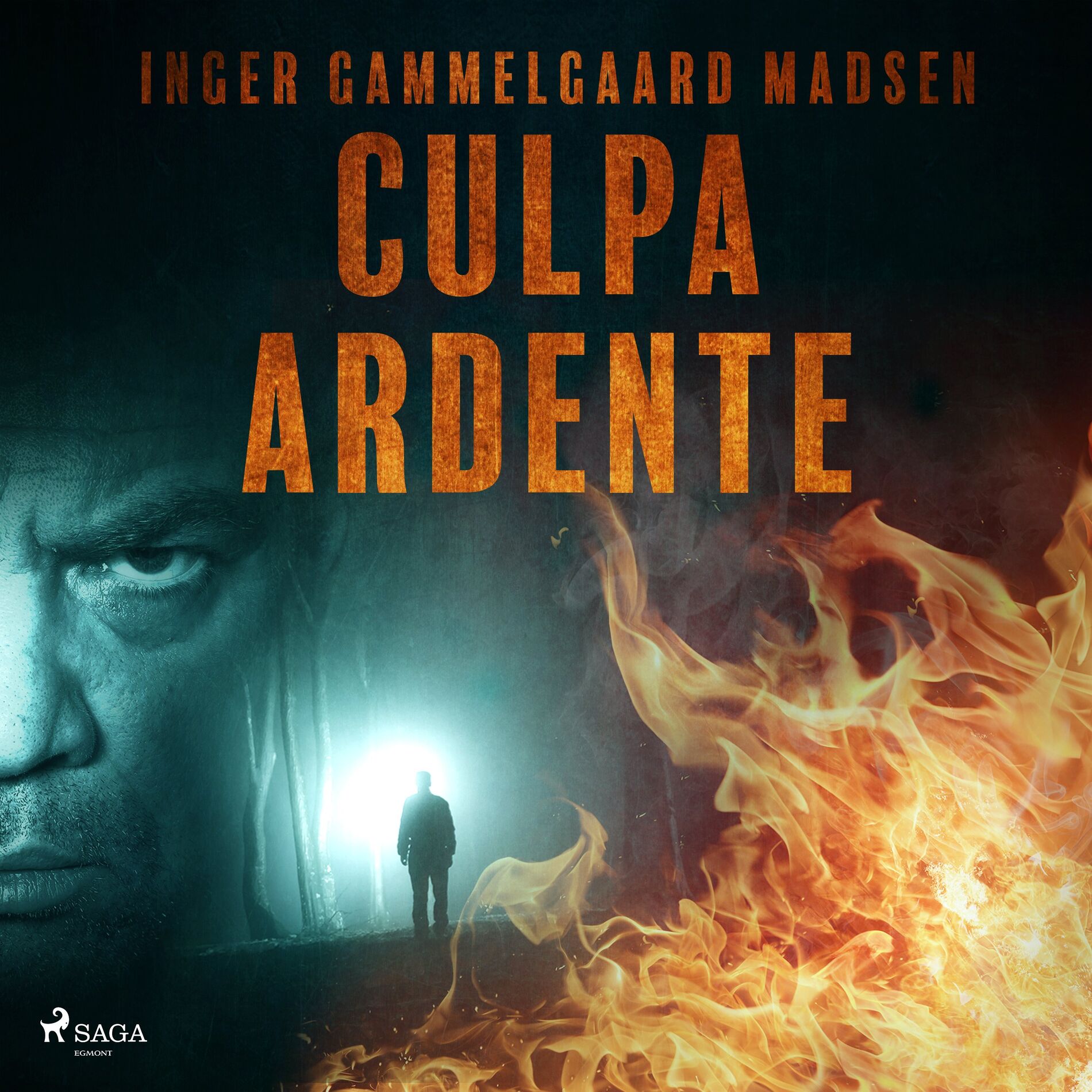 Album cover of Culpa ardente