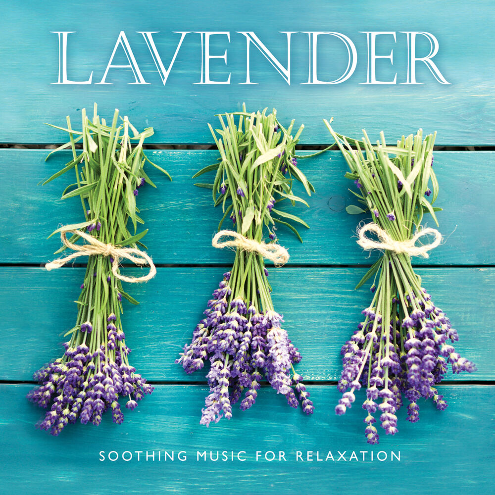 Picture of Lavender