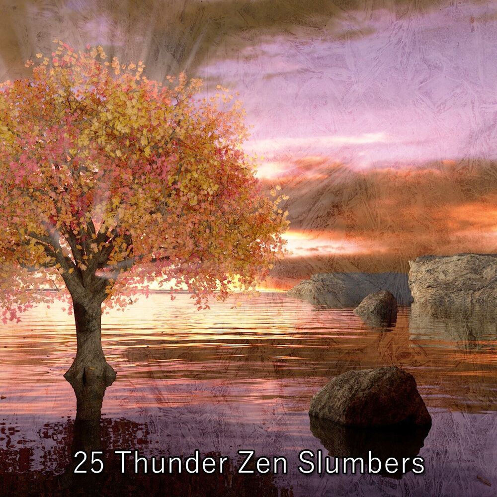 Picture of 25 Thunder Zen Slumbers