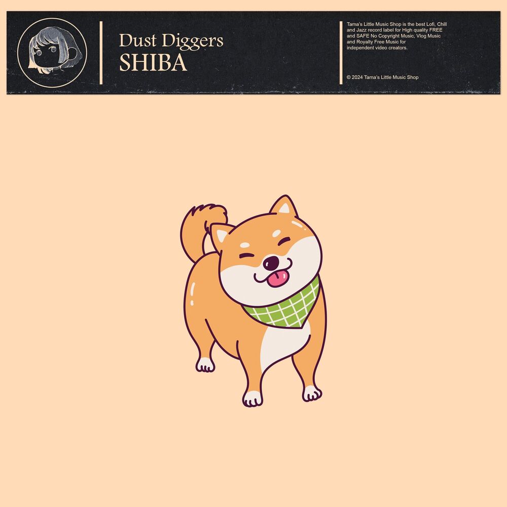 Picture of Shiba