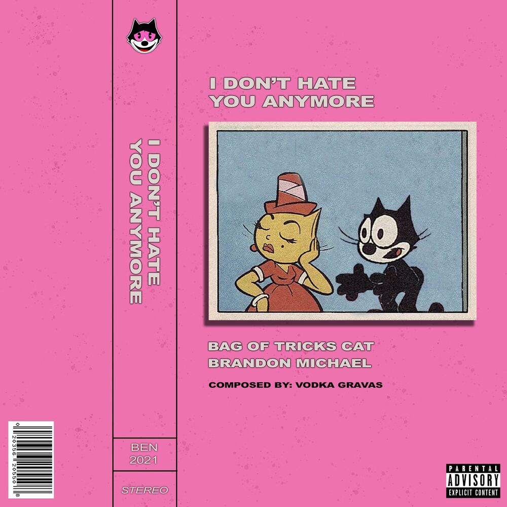 Picture of I Don't Hate You Anymore