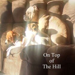 On Top of the Hill
