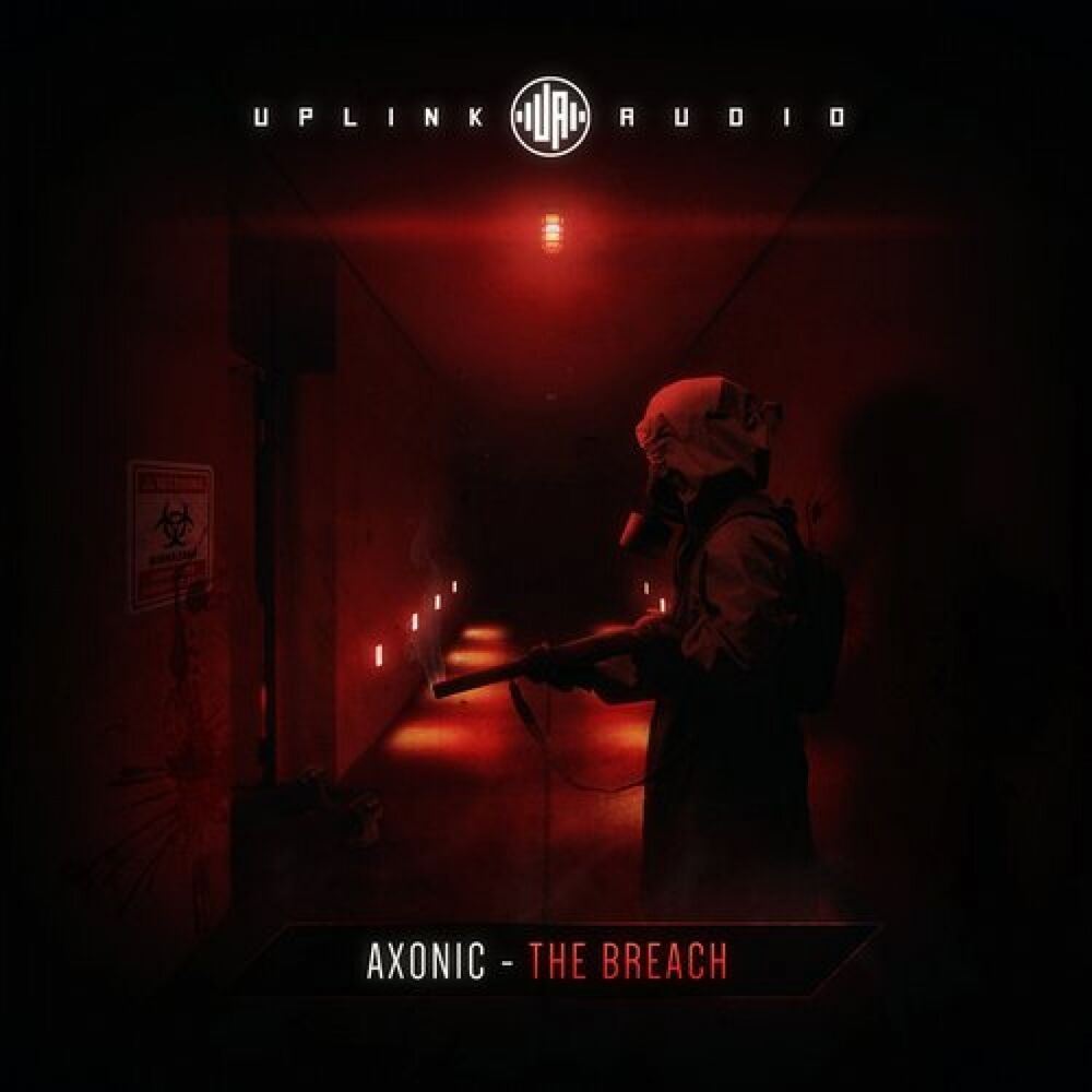 Picture of The Breach