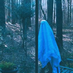 Cover of alive