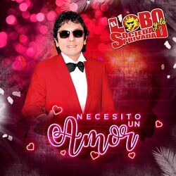 Cover of Necesito un Amor
