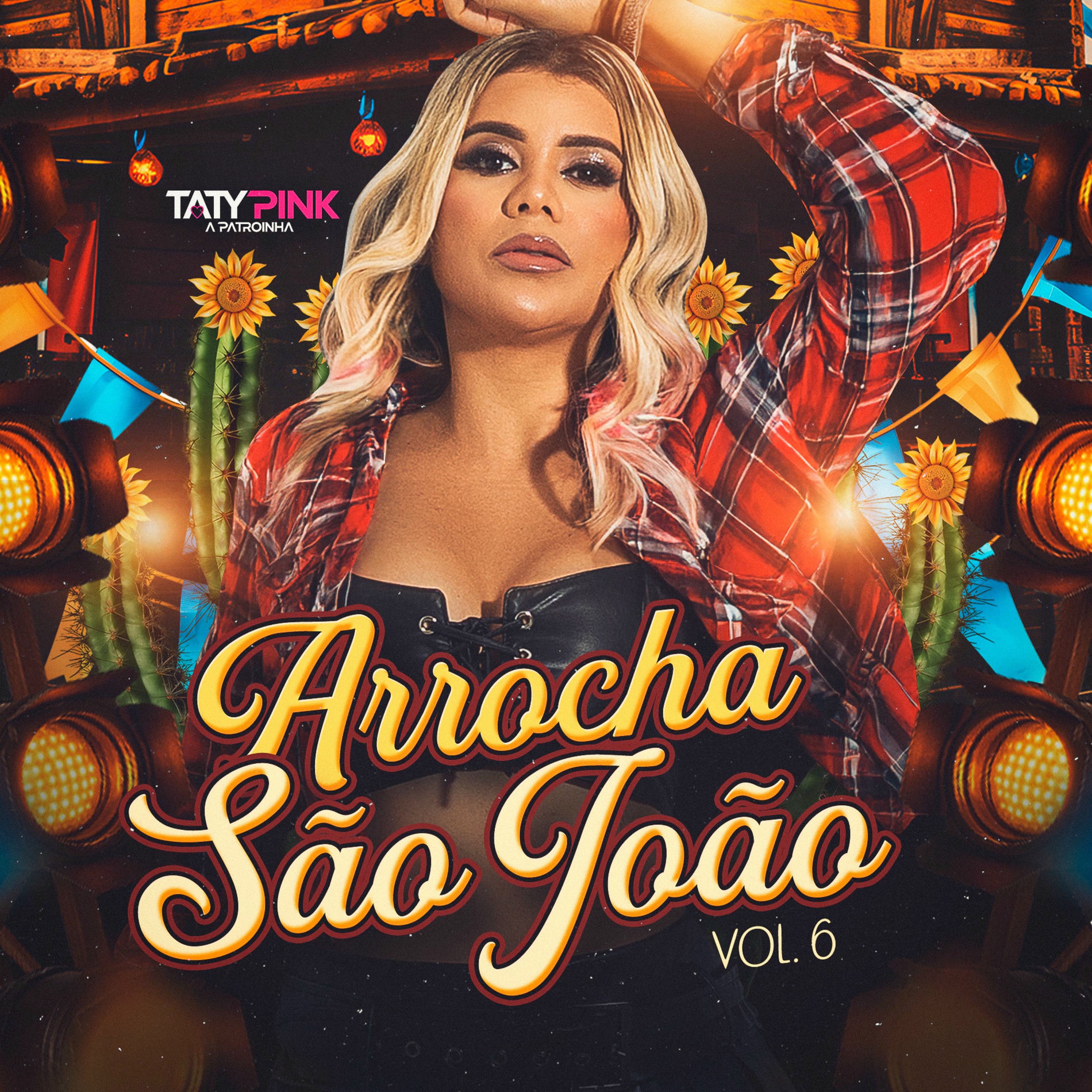 Album cover of Arrocha São João, Vol 6