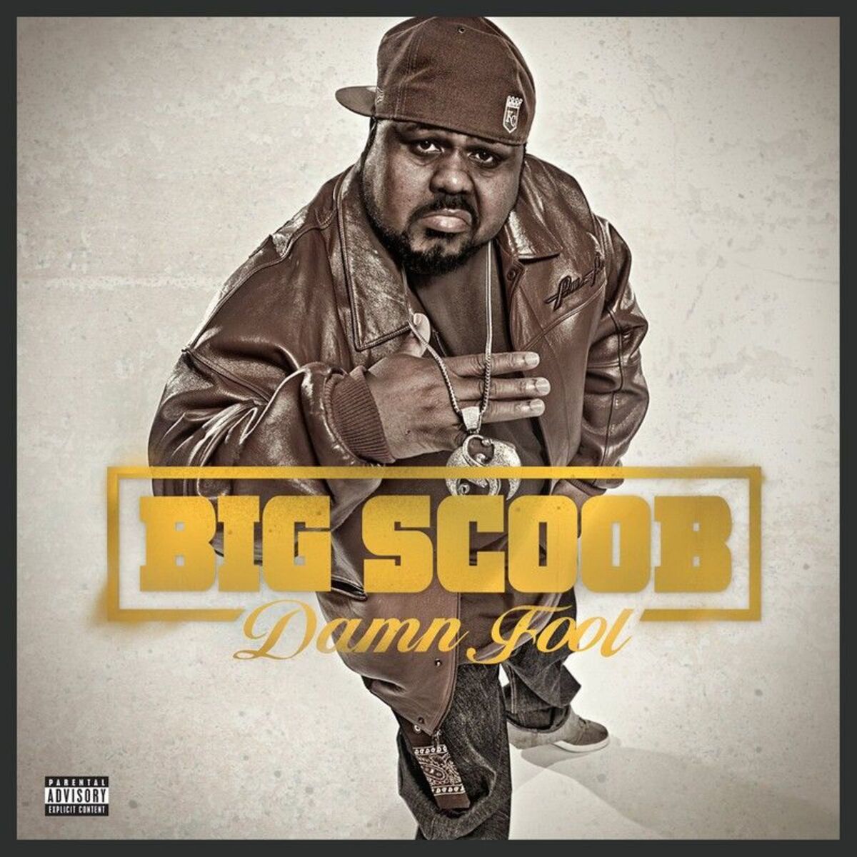 Album cover of Damn Fool