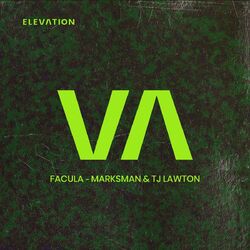 Cover of Facula