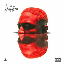 Cover of Wildfire