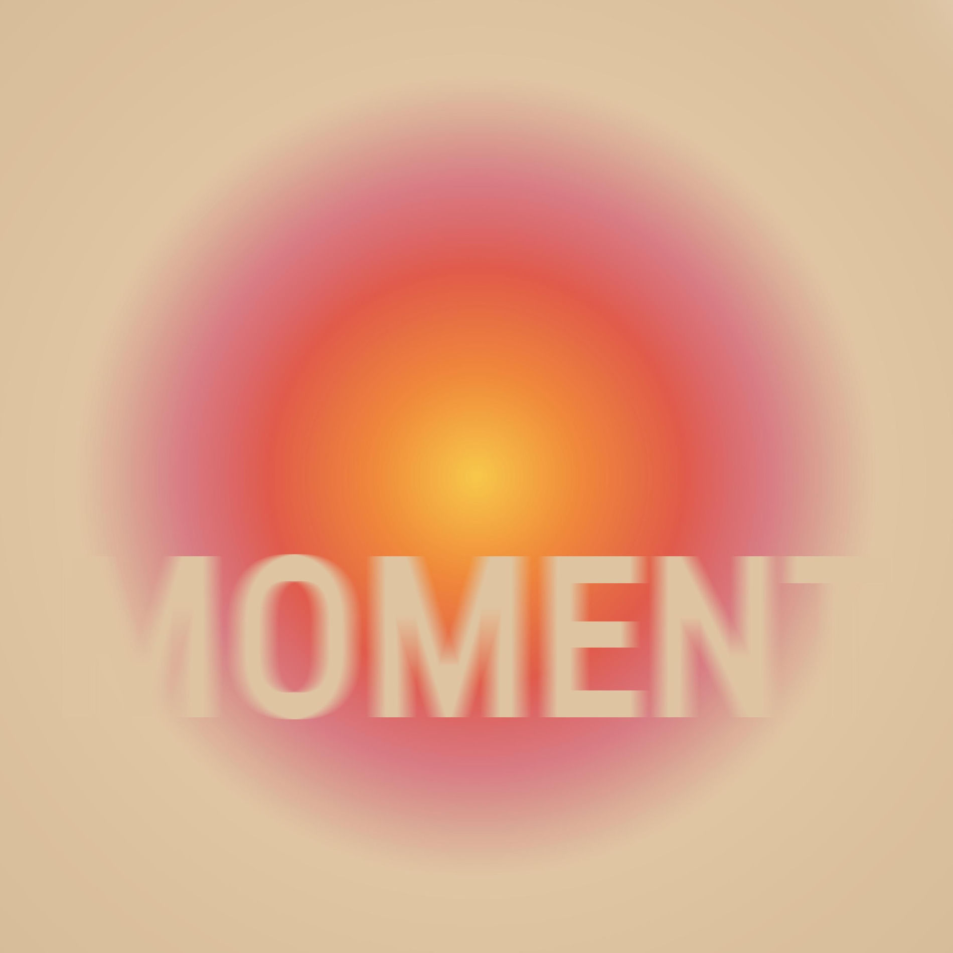 Album cover of MOMENT