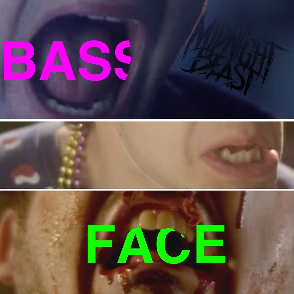 Picture of Bassface