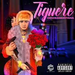 Cover of Tiguere