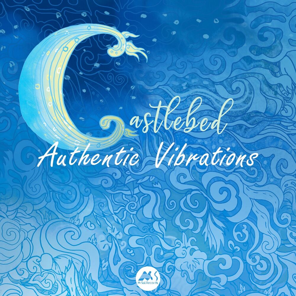 Picture of Authentic Vibrations