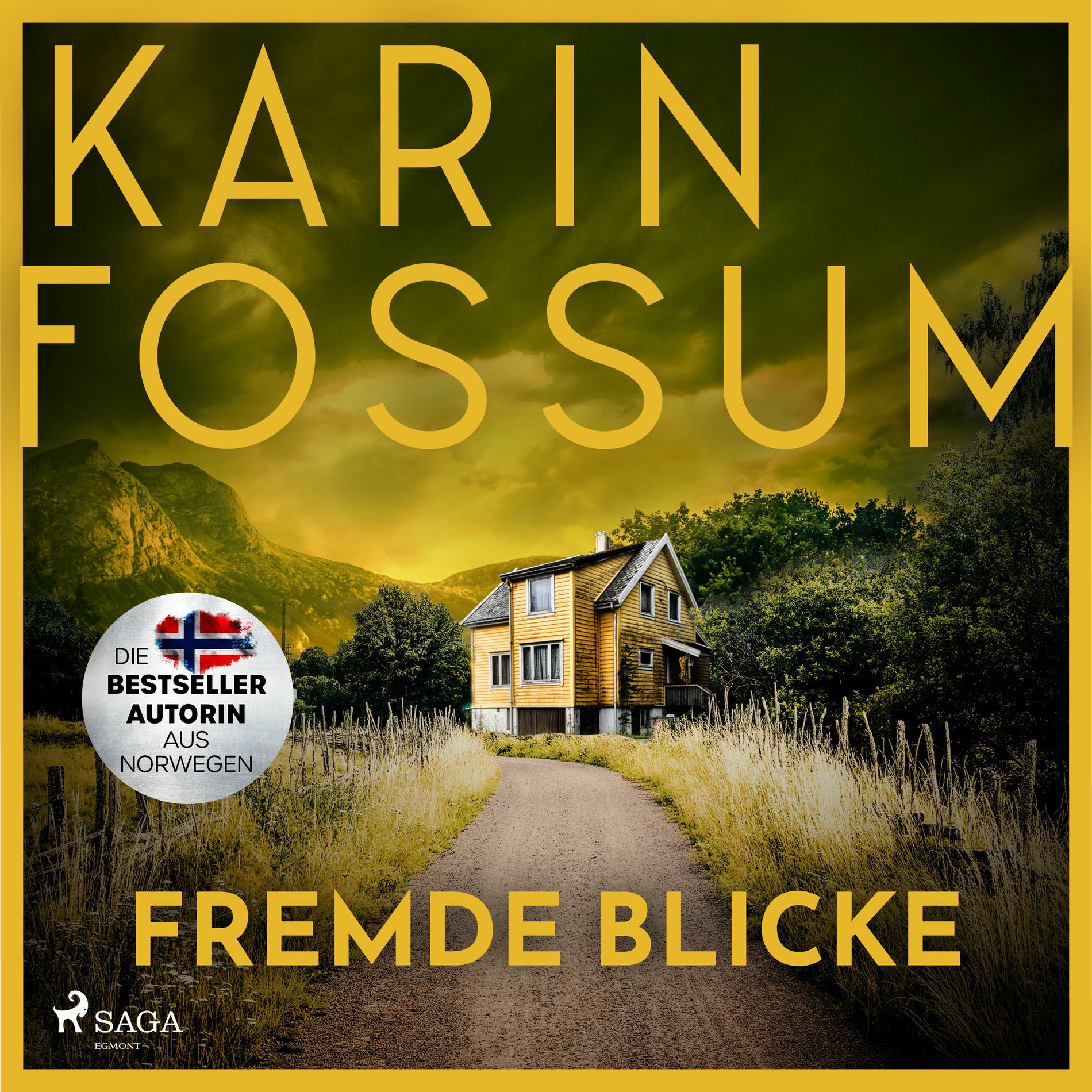 Album cover of Fremde Blicke (Thriller | Konrad Sejer 2)