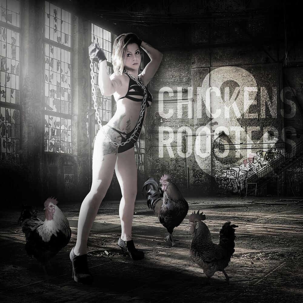 Picture of Chickens & Roosters