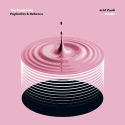 Cover of The Beginning (Acid Pauli Remix)