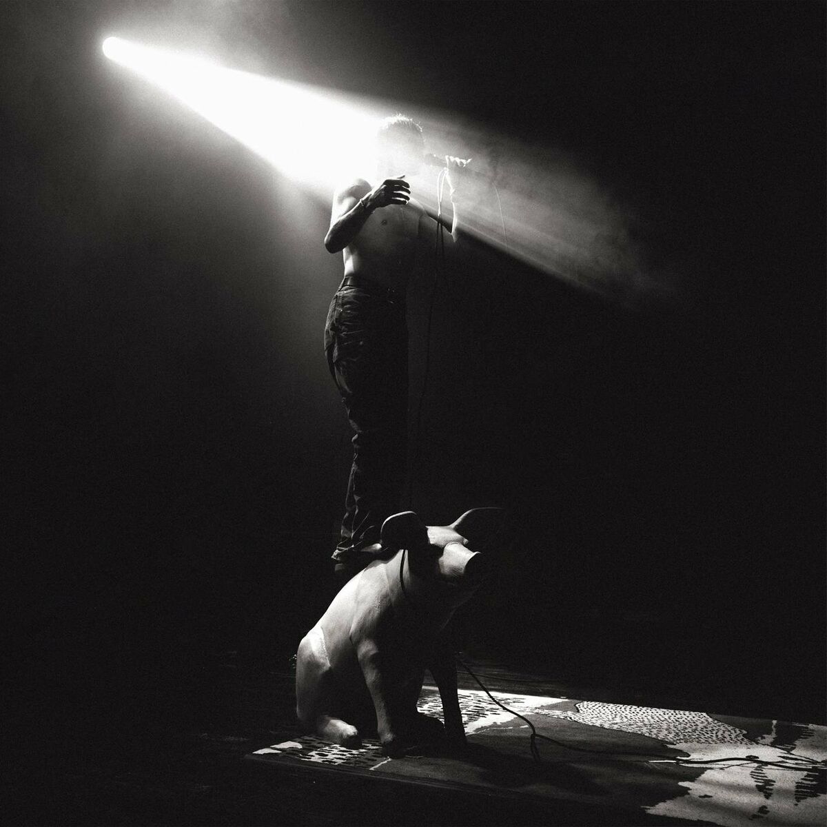 Album cover of Piglet Live