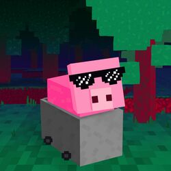 Cover of Pigstep