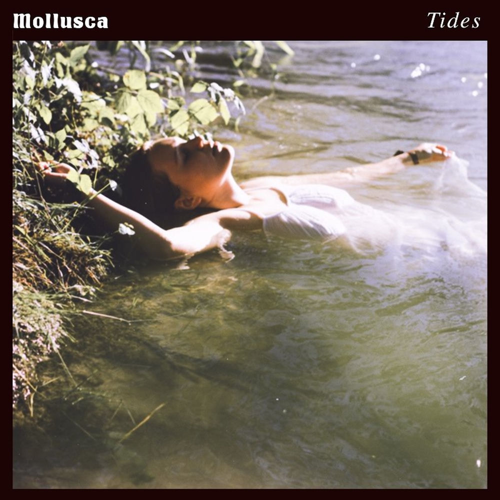 Album artwork for Tides by Mollusc