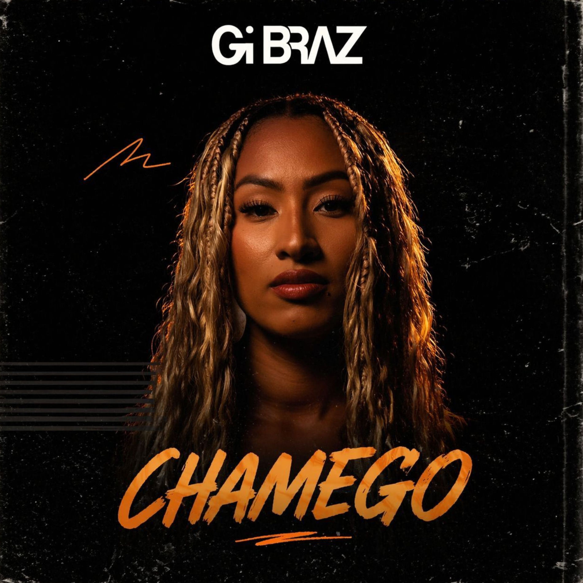 Album cover of Chamego