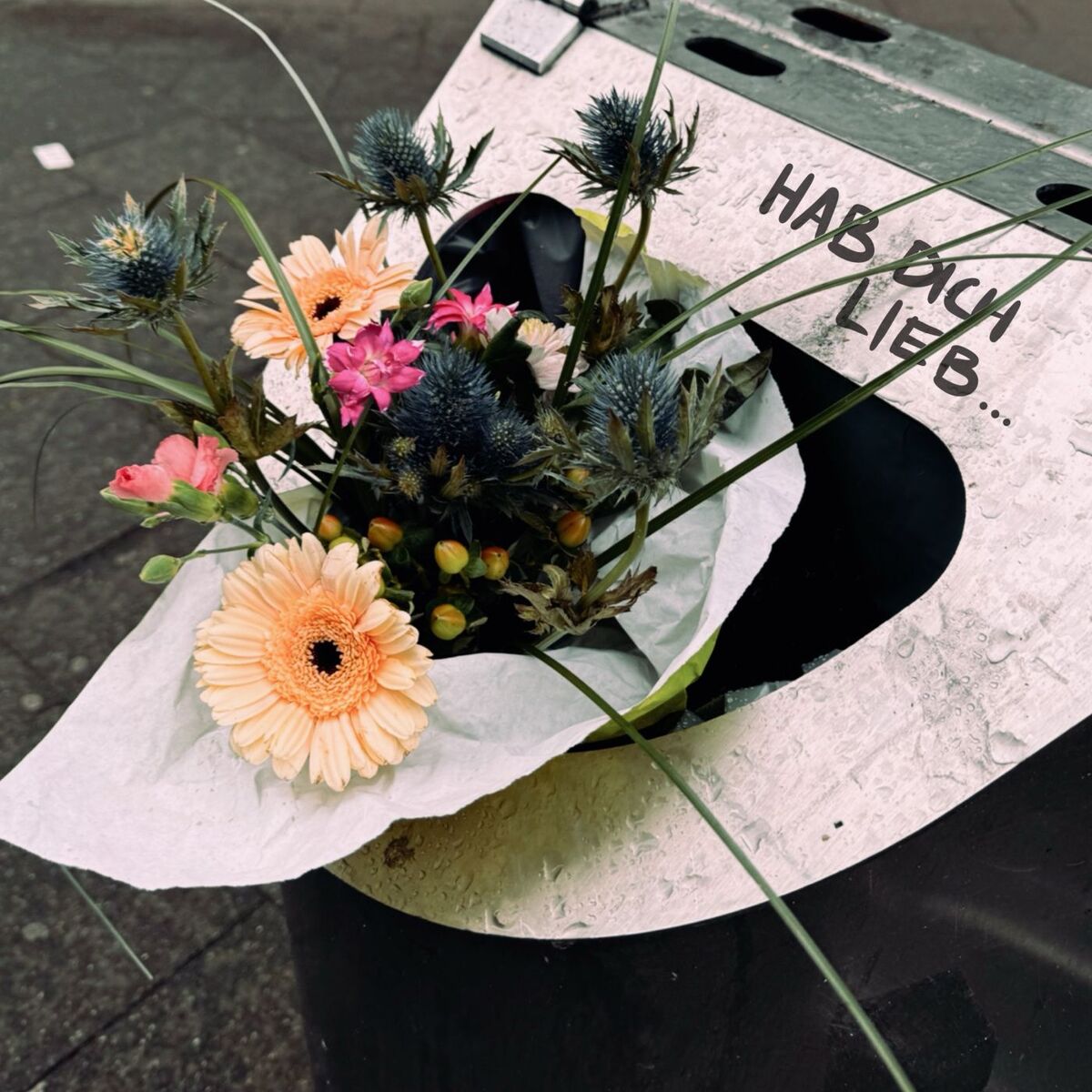 Album cover of hab dich lieb