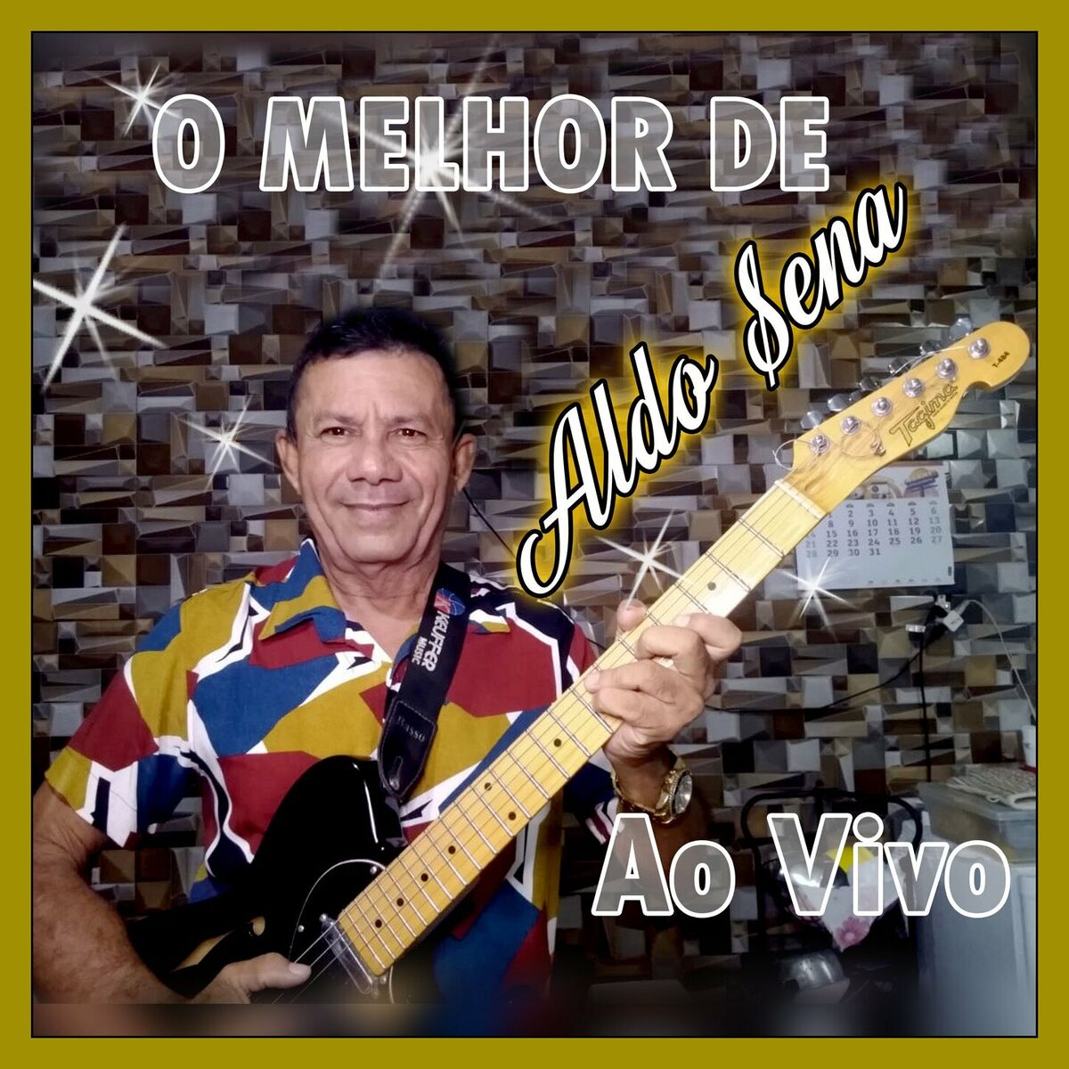 Album cover of O MELHOR DE ALDO SENA AO VIVO
