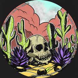 Cover of Indecorous
