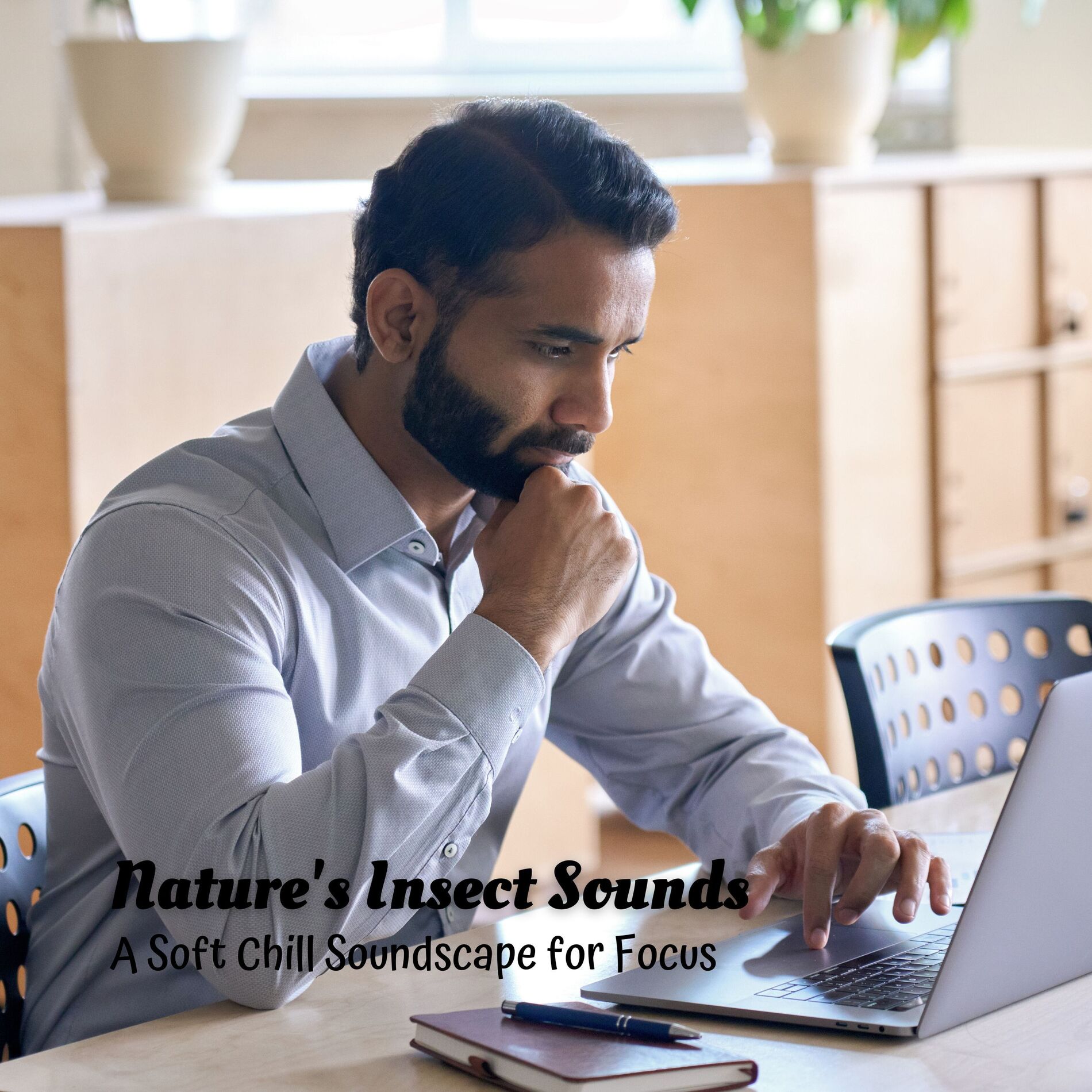 Album cover of Nature's Insect Sounds: A Soft Chill Soundscape for Focus