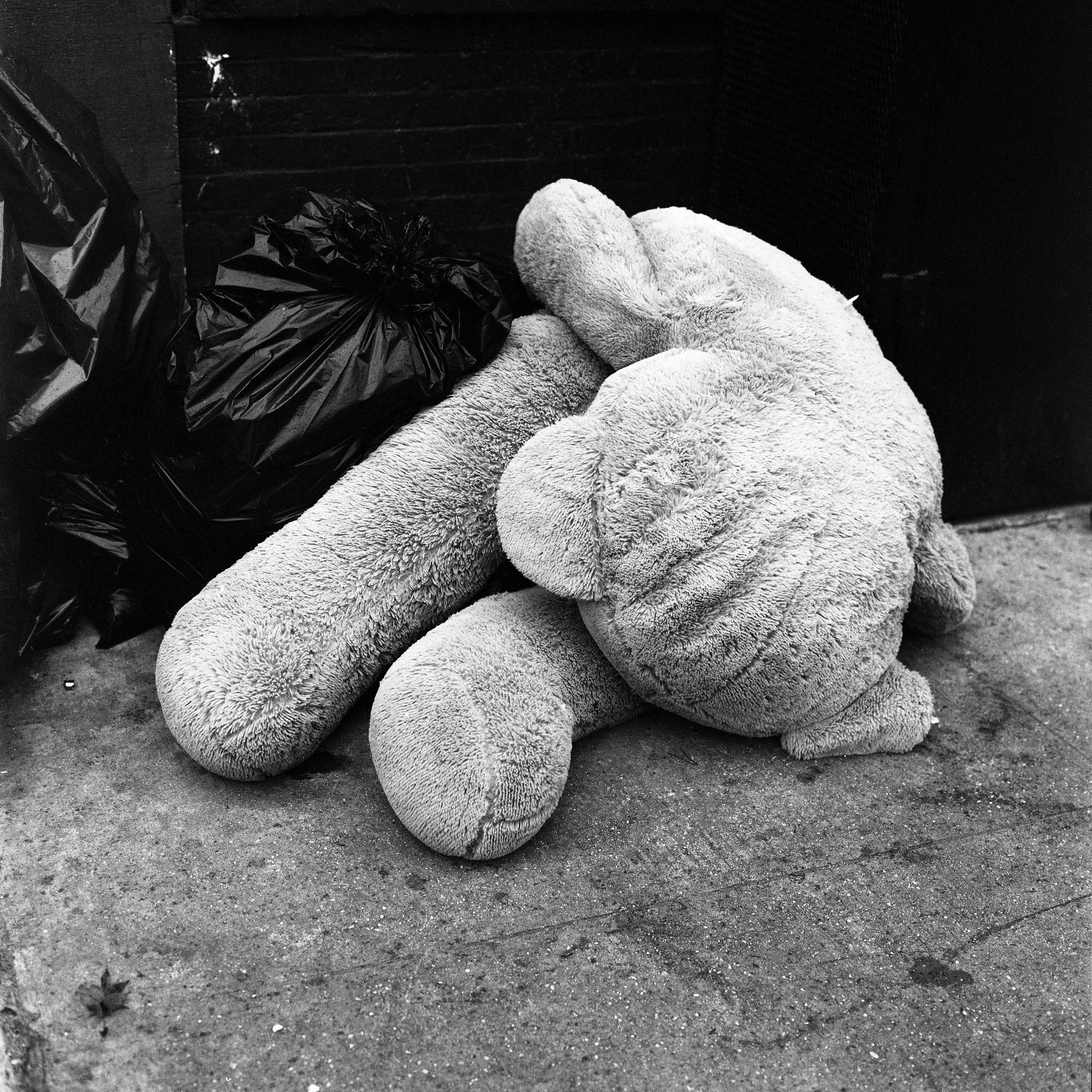 Album cover of Paraffin (Instrumentals)