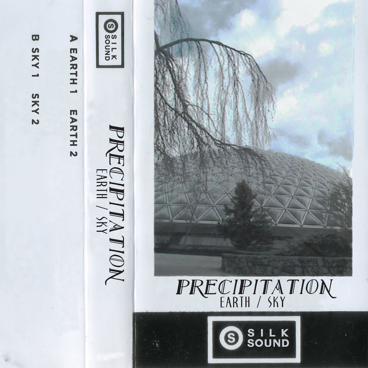 Album cover of Earth / Sky