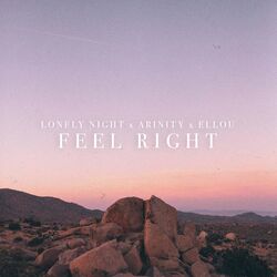 Cover of Feel Right
