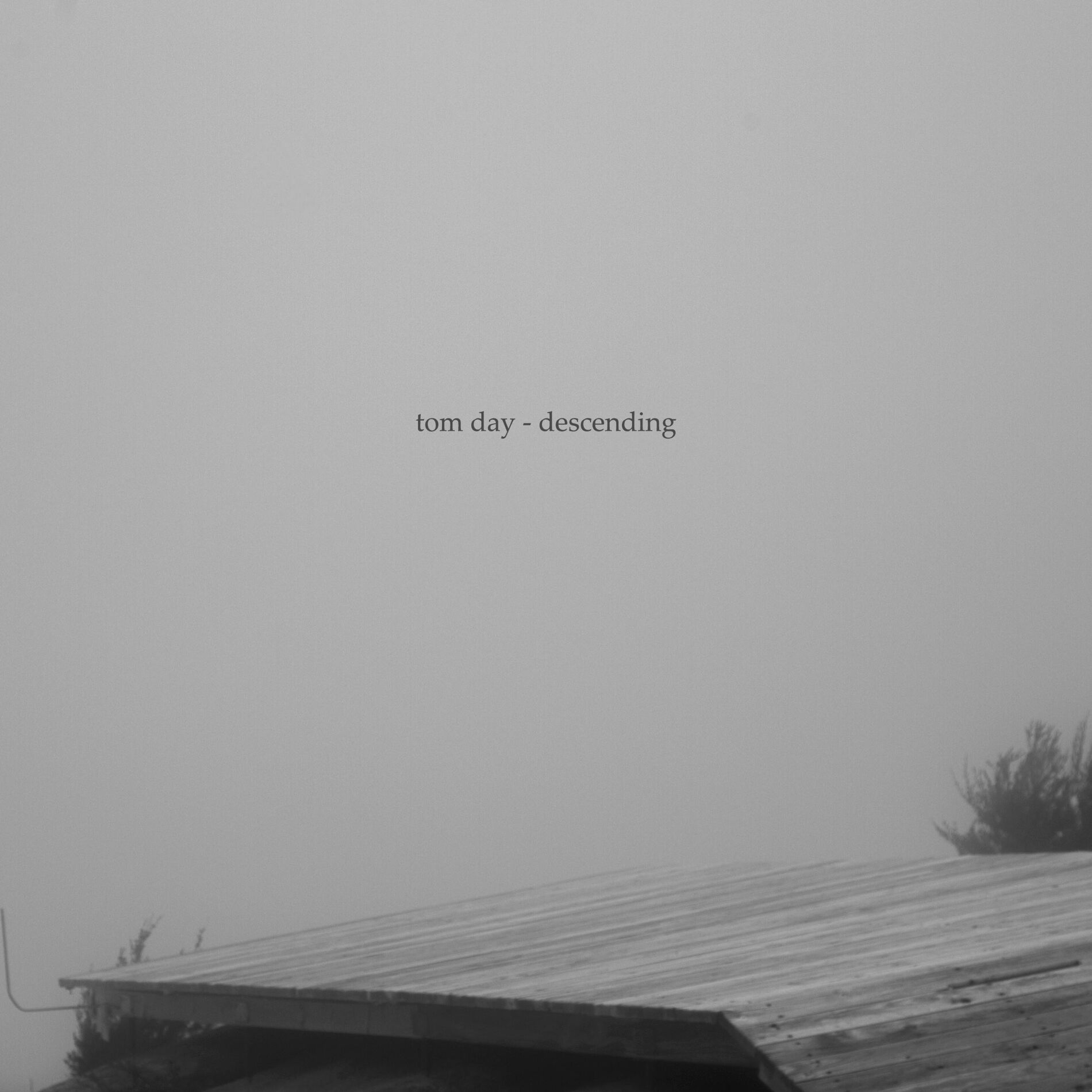 Album cover of Descending