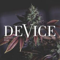 Cover of Budz