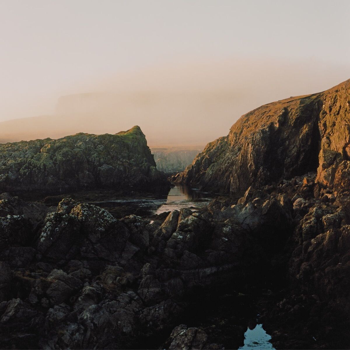 Album cover of The Fundamental Nature of Being, Part Four